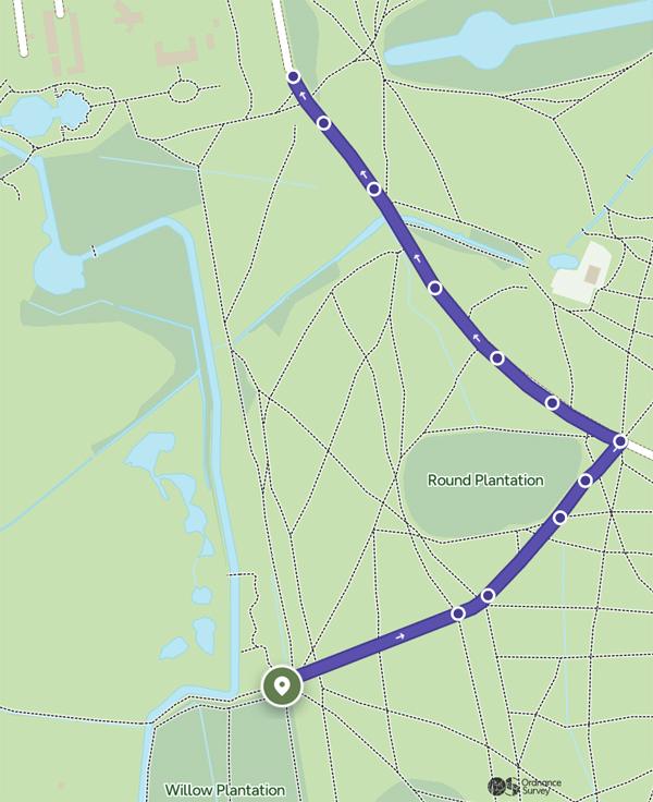 LL9_Bushy_Park_flooding.jpeg