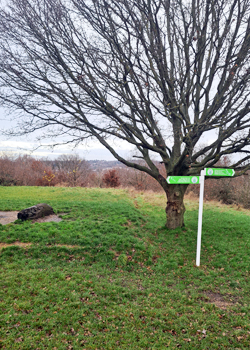 CR9 Horsenden Hill
