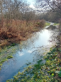 LL10 Flooding in Crane Valley Country park