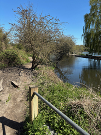 LL11 Dry path at Little Britain Lake