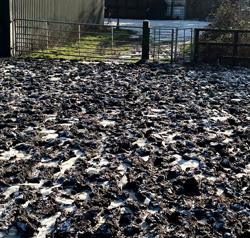LL14 Mud at Pinnerwood Farm