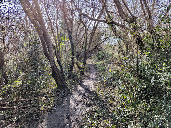 LL15 Path cleared at start web