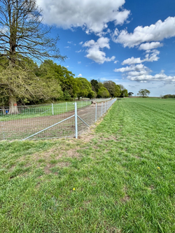 LL21 Fence horse ride across top of wood