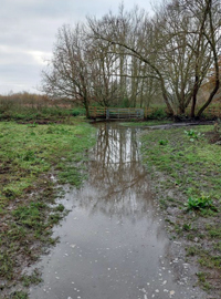 LL23 Flooded path and mud