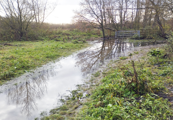 LL23 Flooding in Section 23 web