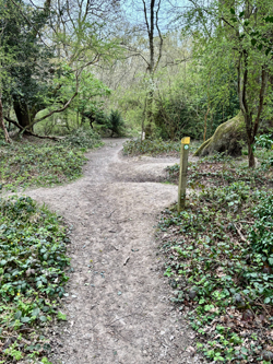 LL3 Mud free path