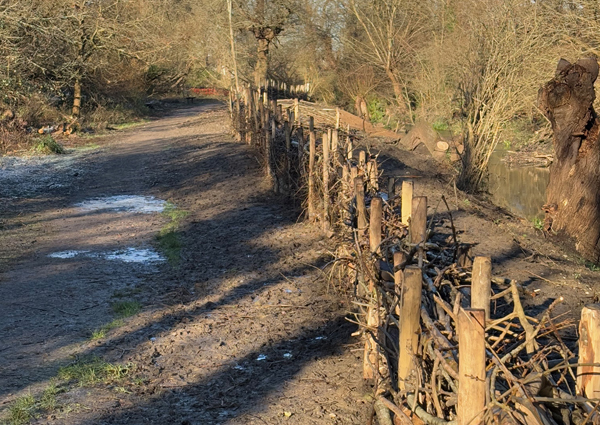 LL8 Deadwood hedge and dredging