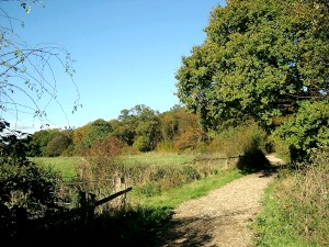 The approach to Bayhurst Wood