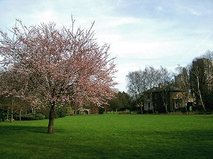Carville Hall Park