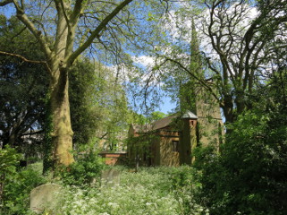 St Mary's Churchyard